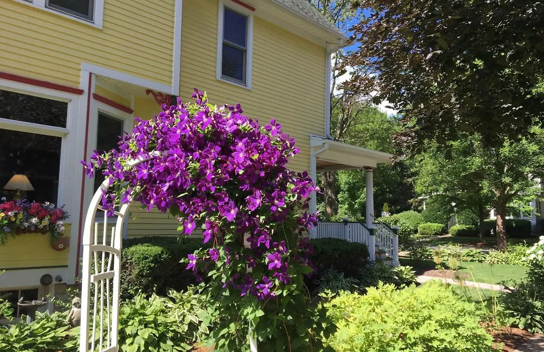 Harrison House Bed & Breakfast-1